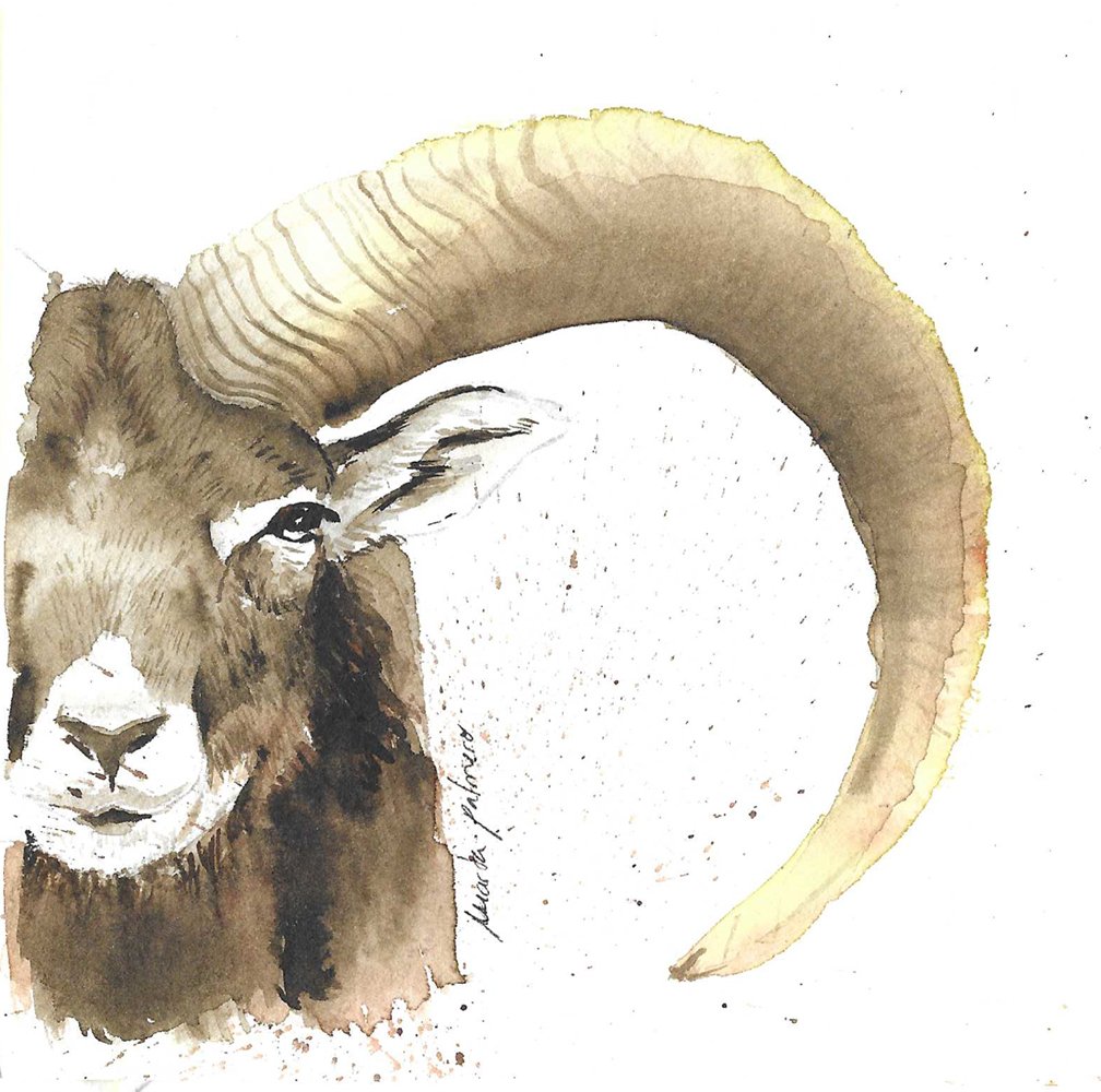 Marta Palmero. Exposicion comisariada por Tigomigo