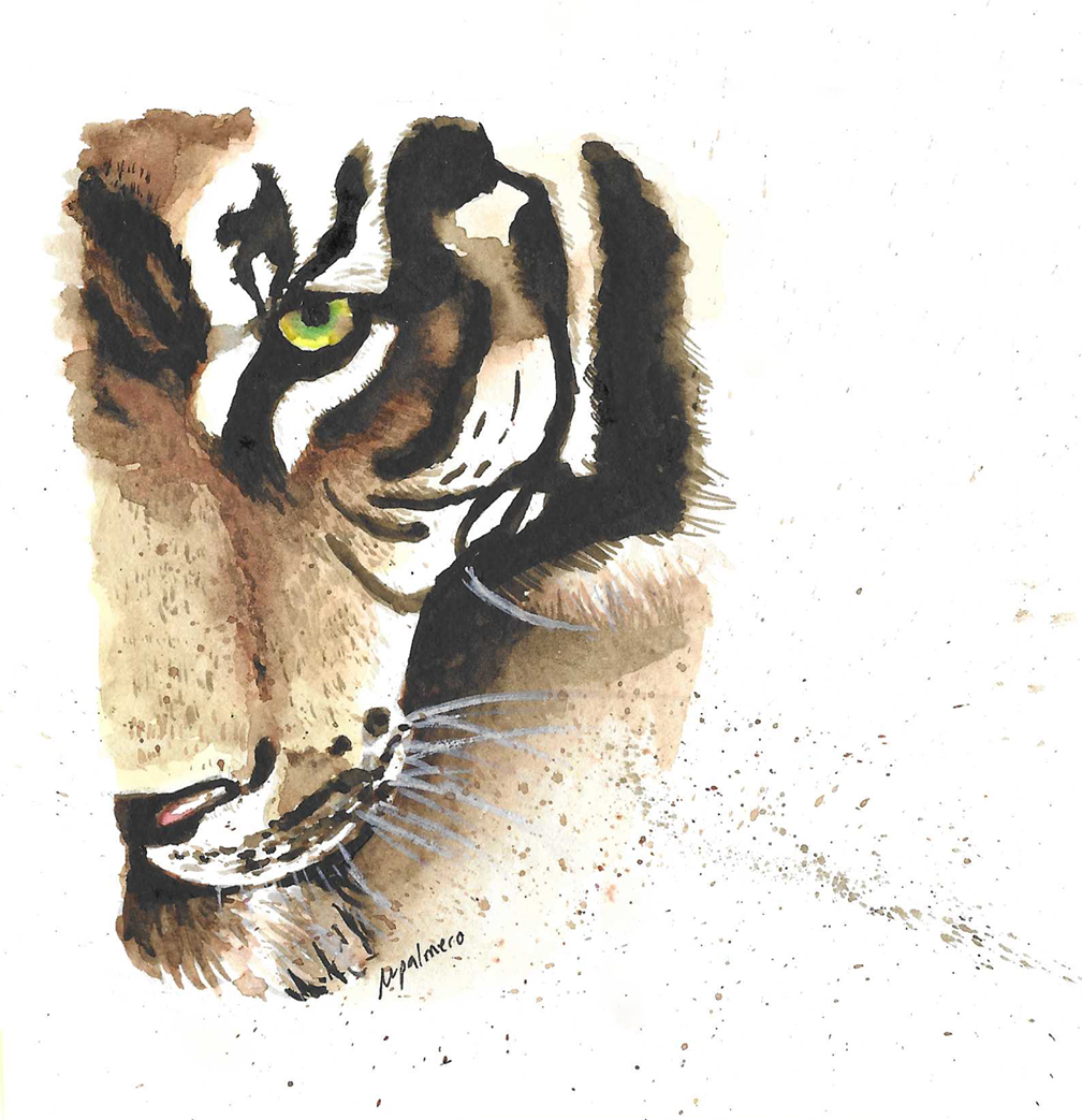 Tigre, de Marta Palmero. Exposicion comisariada por Tigomigo